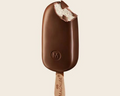 Magnum Ice Cream Stick Classic